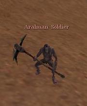 Aralman Soldier